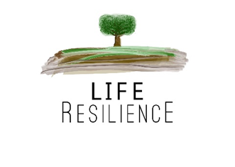 Life Resilience