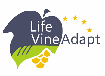 logo_vine_adapt